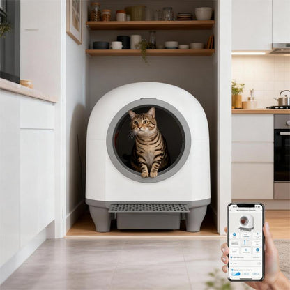 Advanced Smart Litter System